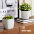 12cm Plant Pot White Sandstone - Set of 3